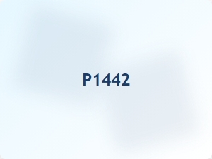 Meaning of Code P1442 Error