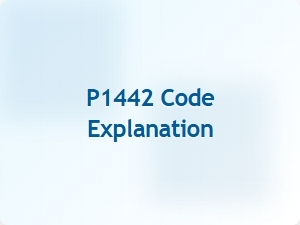 P1442 Code Explanation and Fix Tips