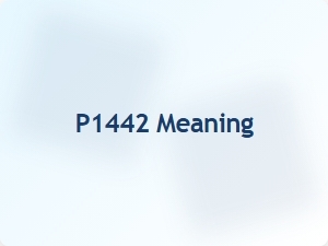 Code P1442 Causes and Solutions