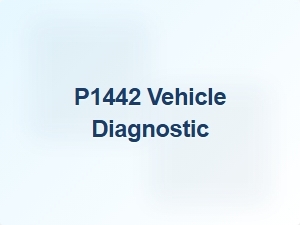 Code P1442 Vehicle Diagnostic Causes