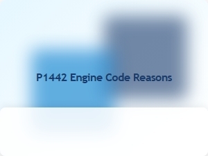 P1442 Engine Code Causes Explained