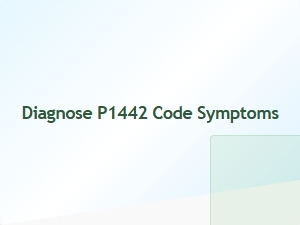 Symptoms of P1442 Code Diagnosis